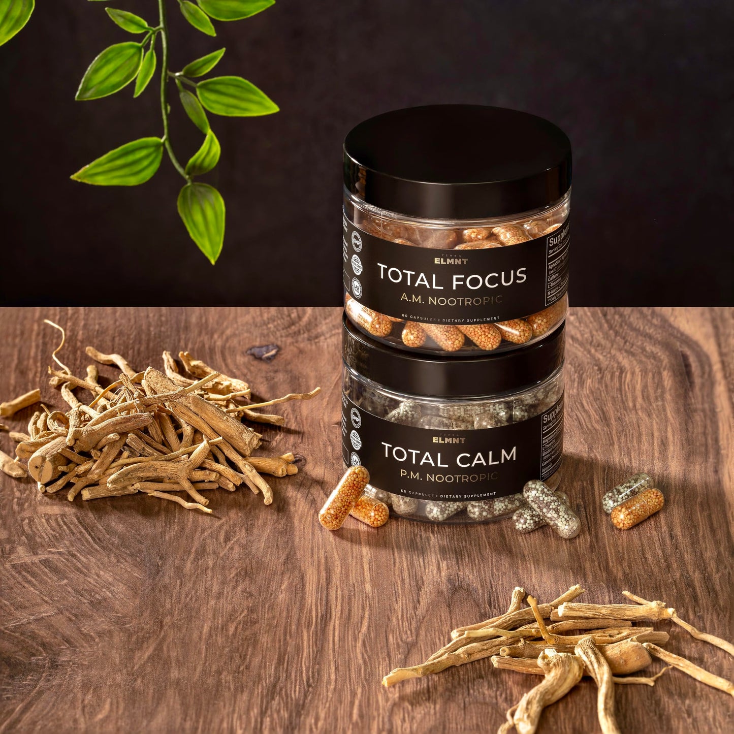 TERRA ELMNT AMPM Nootropic Total Focus + Calm 9X Strength with Caffeine, L-Theanine, Alpha GPC, L-Tyrosine, Ashwagandha Time Release Microbeadlet Capsule, 120