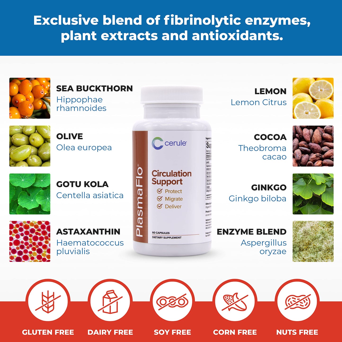 Cerule Plasmaflo Blood Flow and Circulation Support Supplement, 60 Capsules