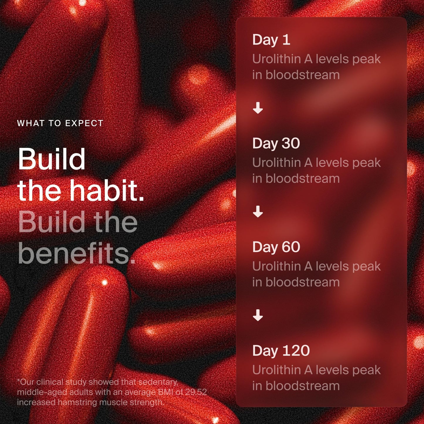 Timeline Mitopure Urolithin A Supplement Capsule 60 Count