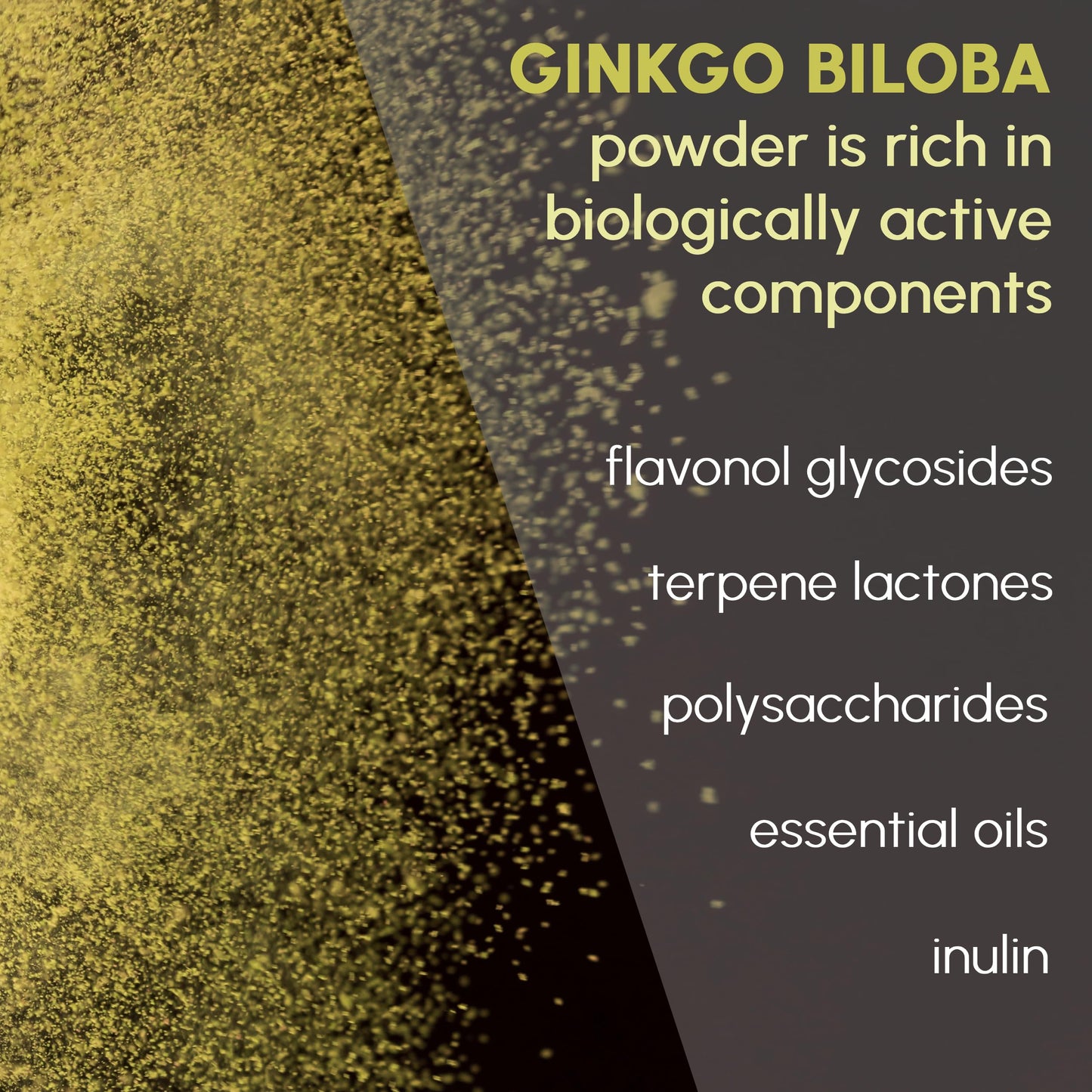Beleon Goods For Life Ginkgo Biloba Powder 8 oz