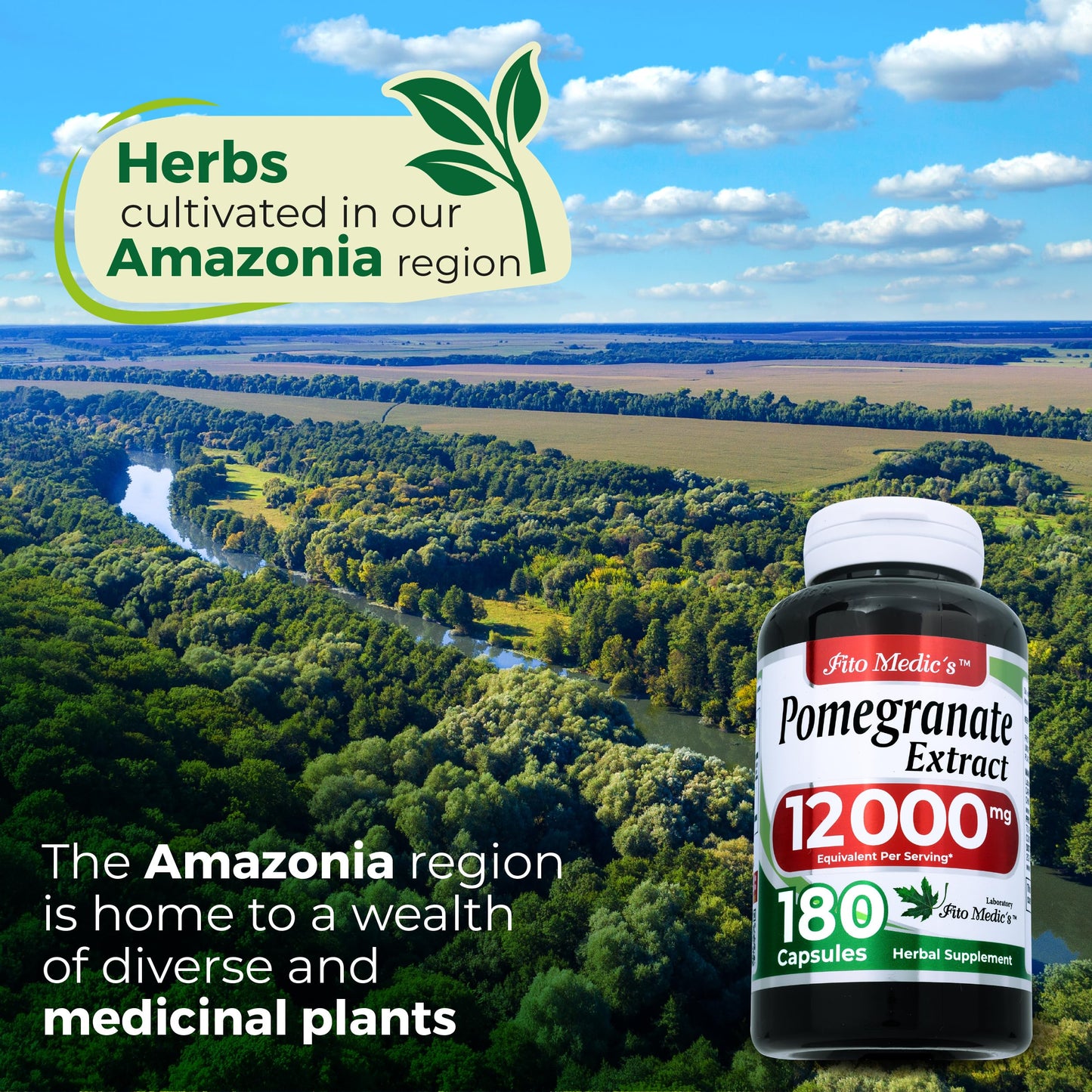 FITO MEDIC'S Pomegranate Extract Supplement Capsule 1 Count