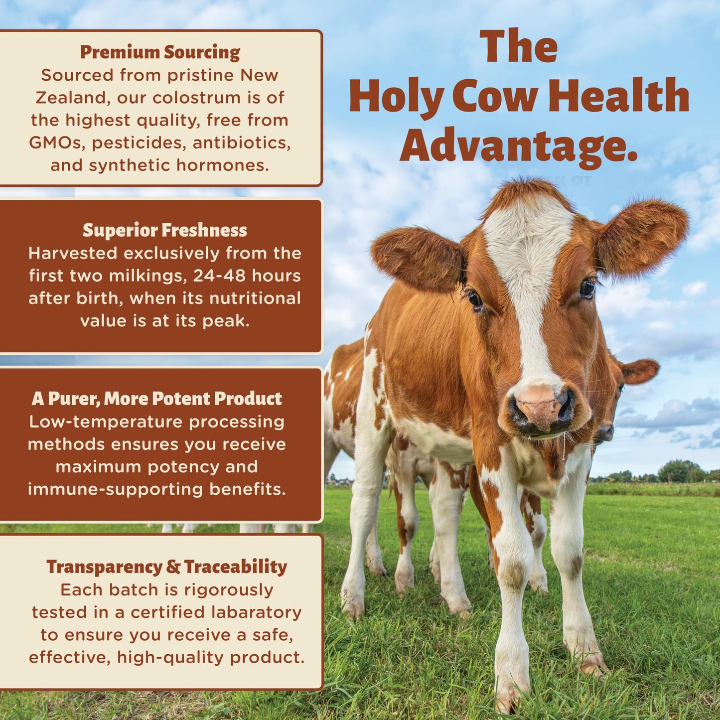 Holy Cow Health Colostrum Tablets 1 Count