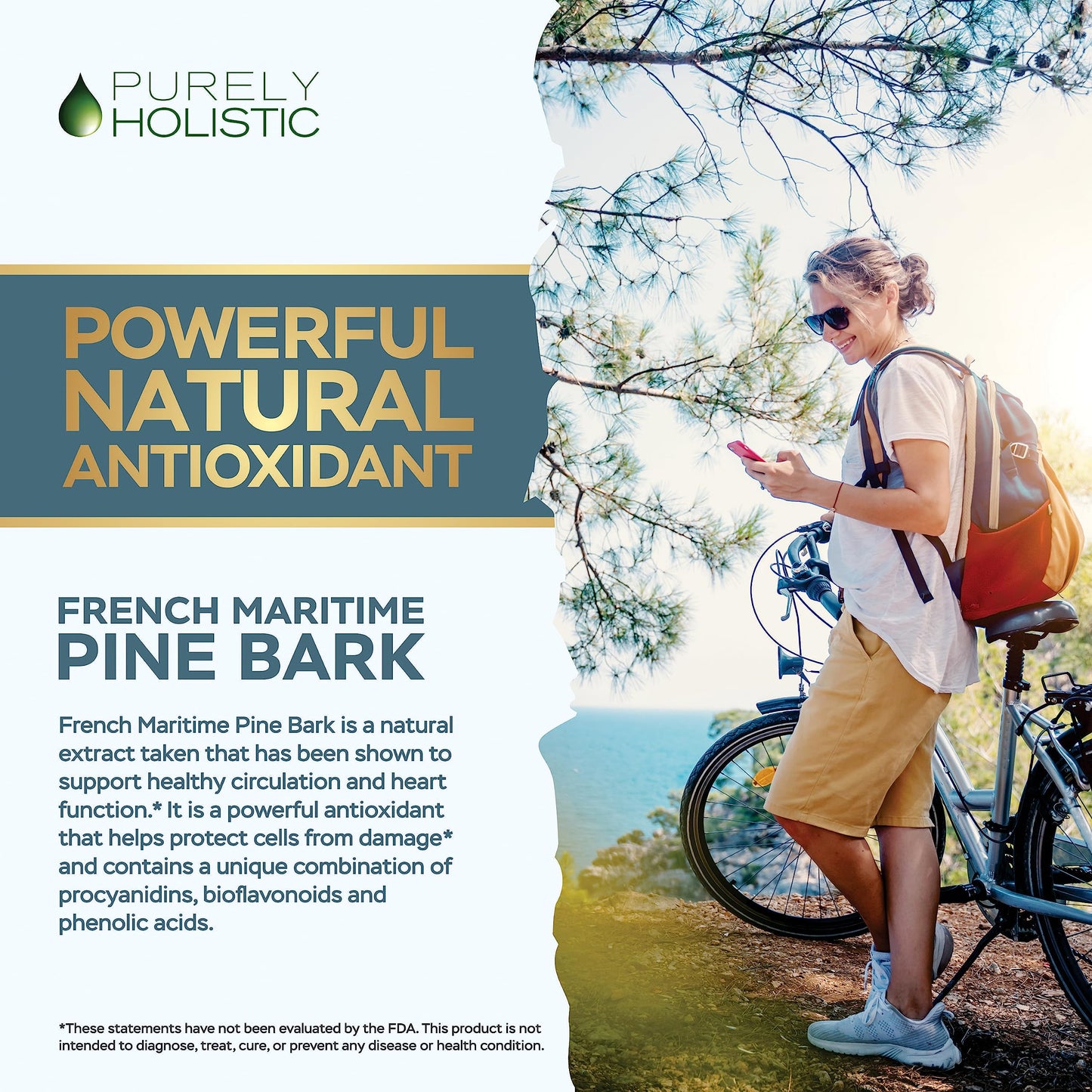 Purely Holistic French Maritime Pine Bark Extract Capsules, 180 Count