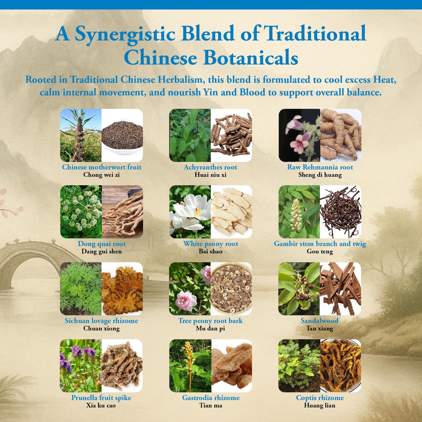 Kan Herbs - Traditionals Anchor the Yang 120 Tablets