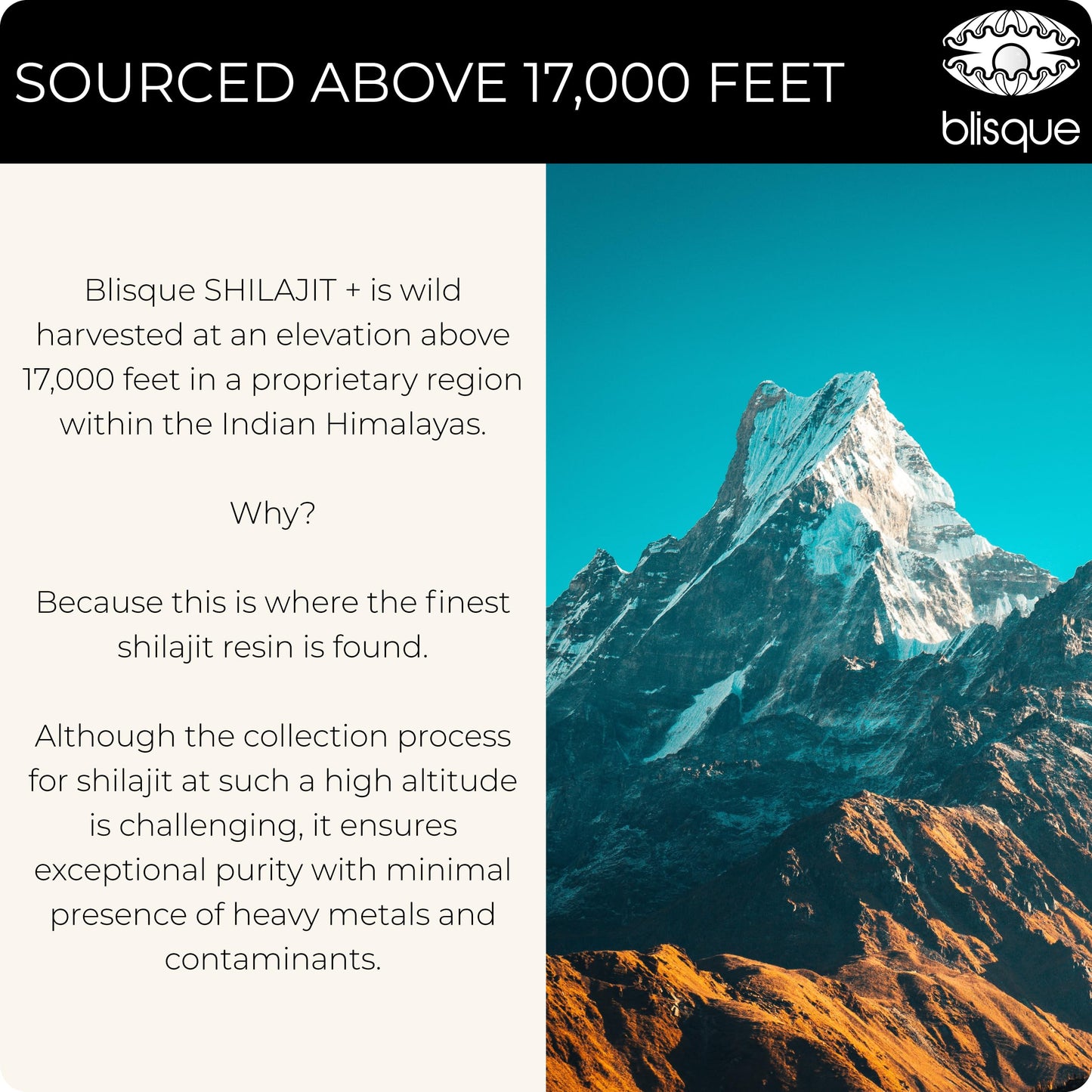 Blisque Pure Himalayan Organic Shilajit Resin Extract Capsules 90 Count