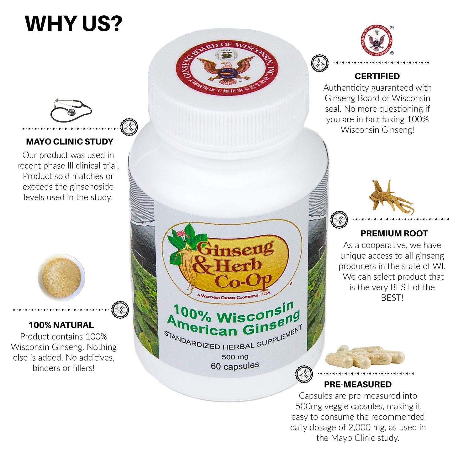 Ginseng & Herb Co-op A Wisconsin Grower Cooperative - USA 100% Pure Wisconsin American Ginseng Capsules 500mg, Panax Quinquefolius, 60 Capsules