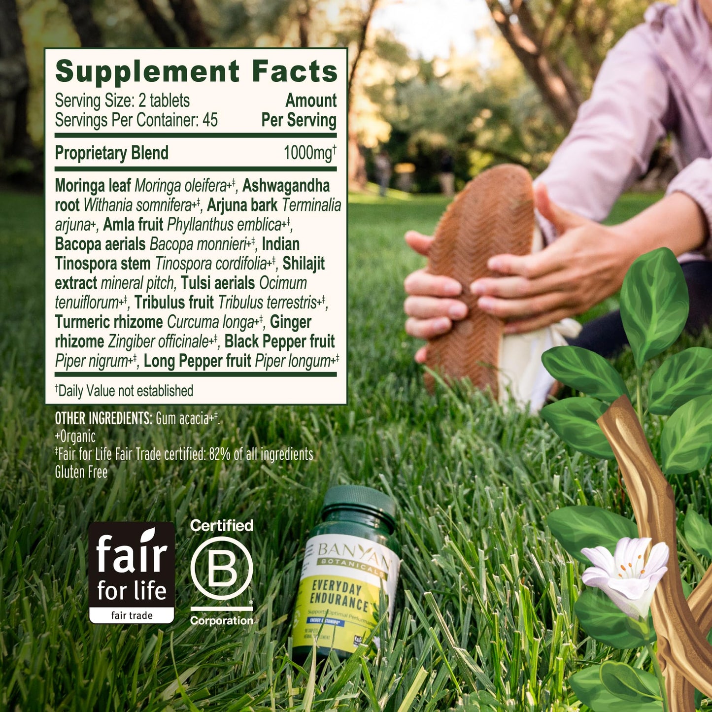 Banyan Botanicals Organic Everyday Endurance – Systemic Stamina & Vitality Supplement – Ashwagandha & Herbal Superfoods for Physical Energy & Resilience, 90 Tablets