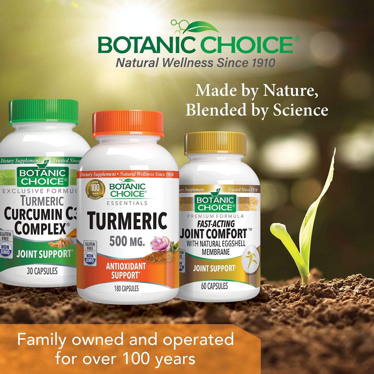 Botanic Choice Premium Turmeric Antioxidant Support - Joint Health Supplement for Adults - 180 Capsules