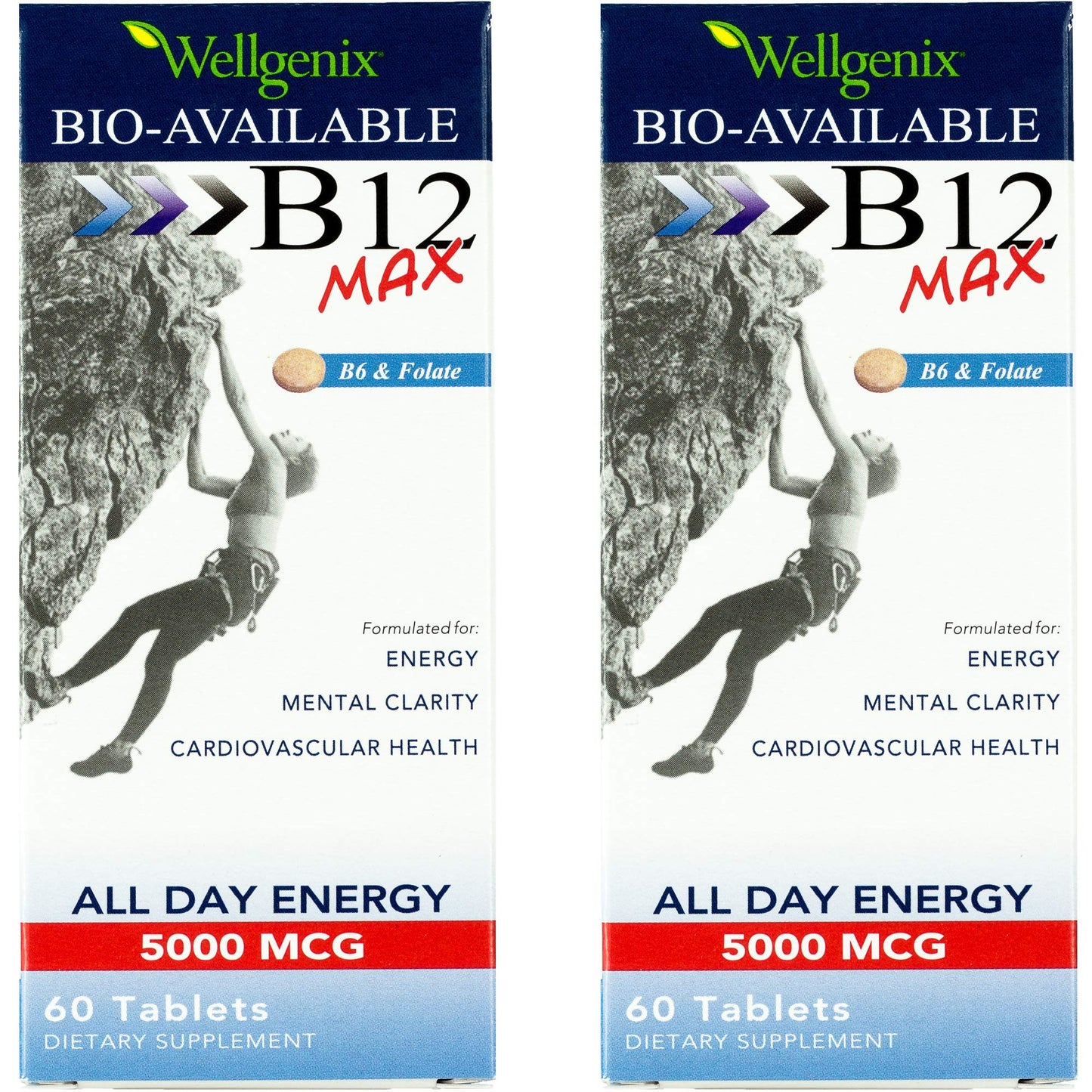 Wellgenix Bio-Available Sublingual B12 Max - Formulated for High Absorption - Nutritional Multivitamin B12, B6, Folate - Fast Dissolve Tablets, 60 Count