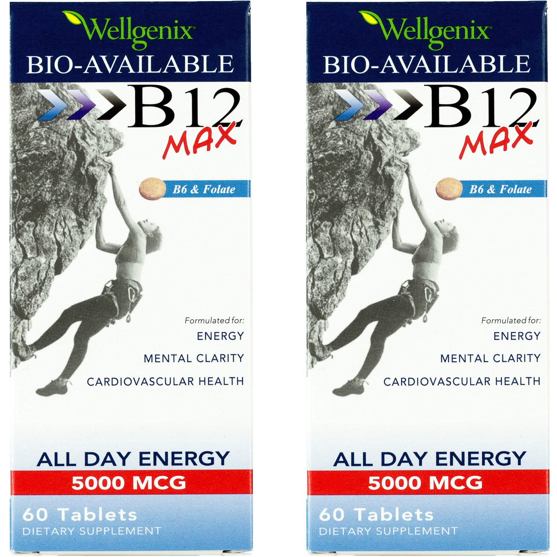 Wellgenix Bio-Available Sublingual B12 Max - Formulated for High Absorption - Nutritional Multivitamin B12, B6, Folate - Fast Dissolve Tablets, 60 Count