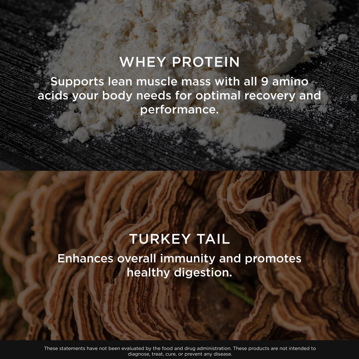 The Genius Brand Protein Powder - Chocolate + Adaptogenic Mushroom Blend - Plant-Based Protein with Turkey Tail for Gut Health - Daily Muscle Recovery & Immune Support, 22.6 oz
