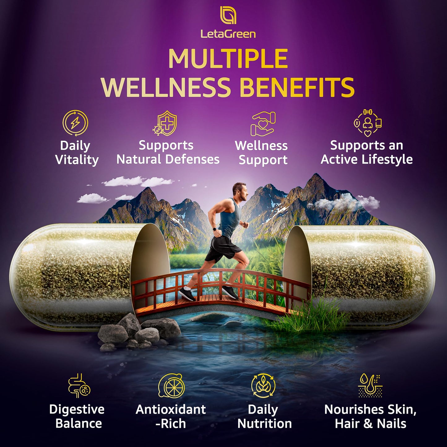 LetaGreen Sea Moss & Lion's Mane Capsule Bundle, 240 Capsules