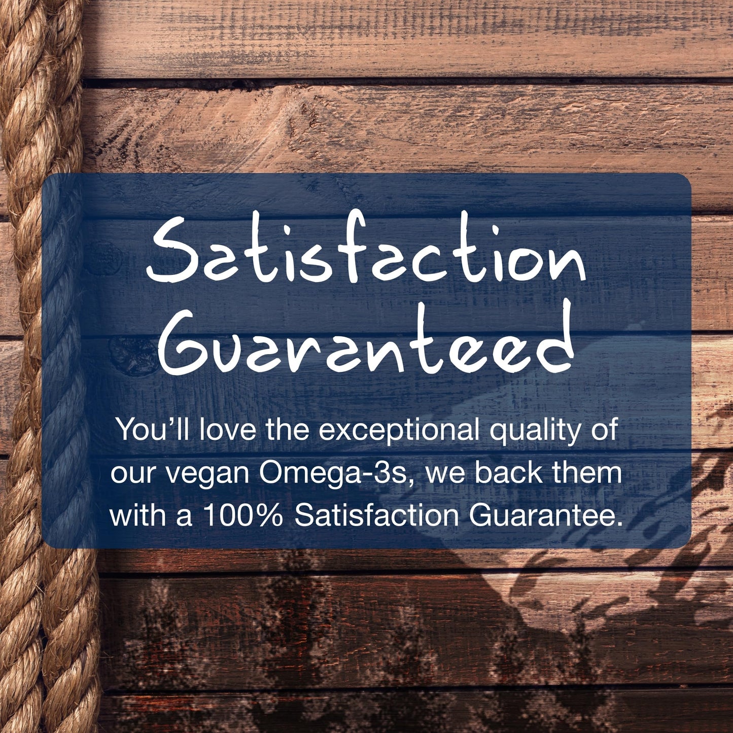 Wiley's Finest CatchFree Omega Softgels 60 Count