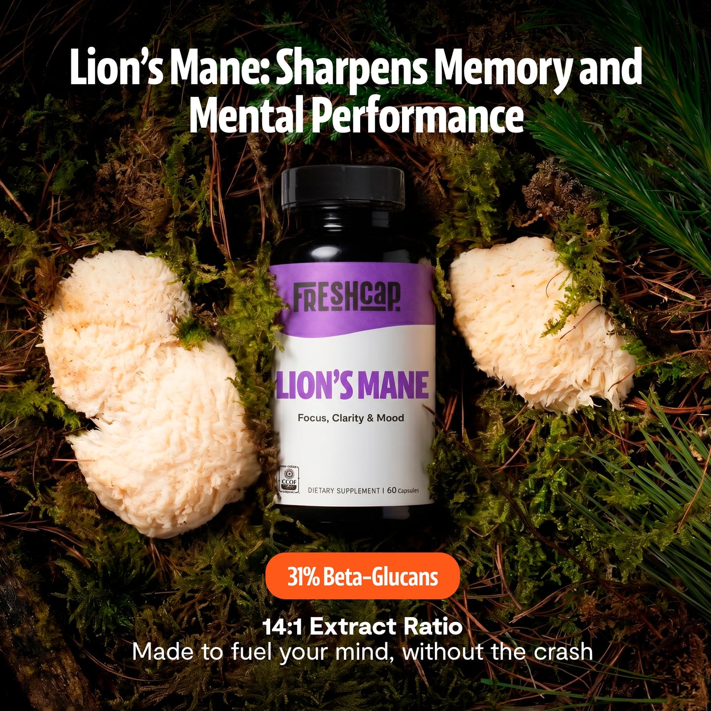 FreshCap Mushrooms Premium Organic Lions Mane Capsules 14:1 Fruiting Body Extract with 31% Beta-Glucans, 120 Capsules