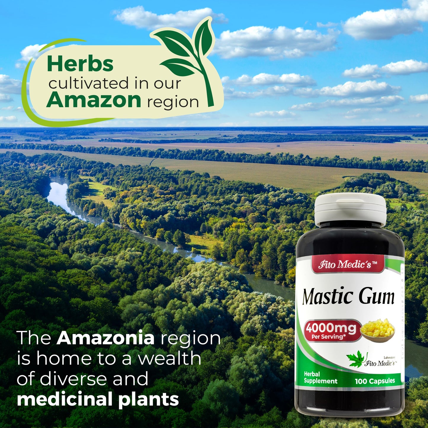 FITO MEDIC'S Mastic Gum 100 Capsules