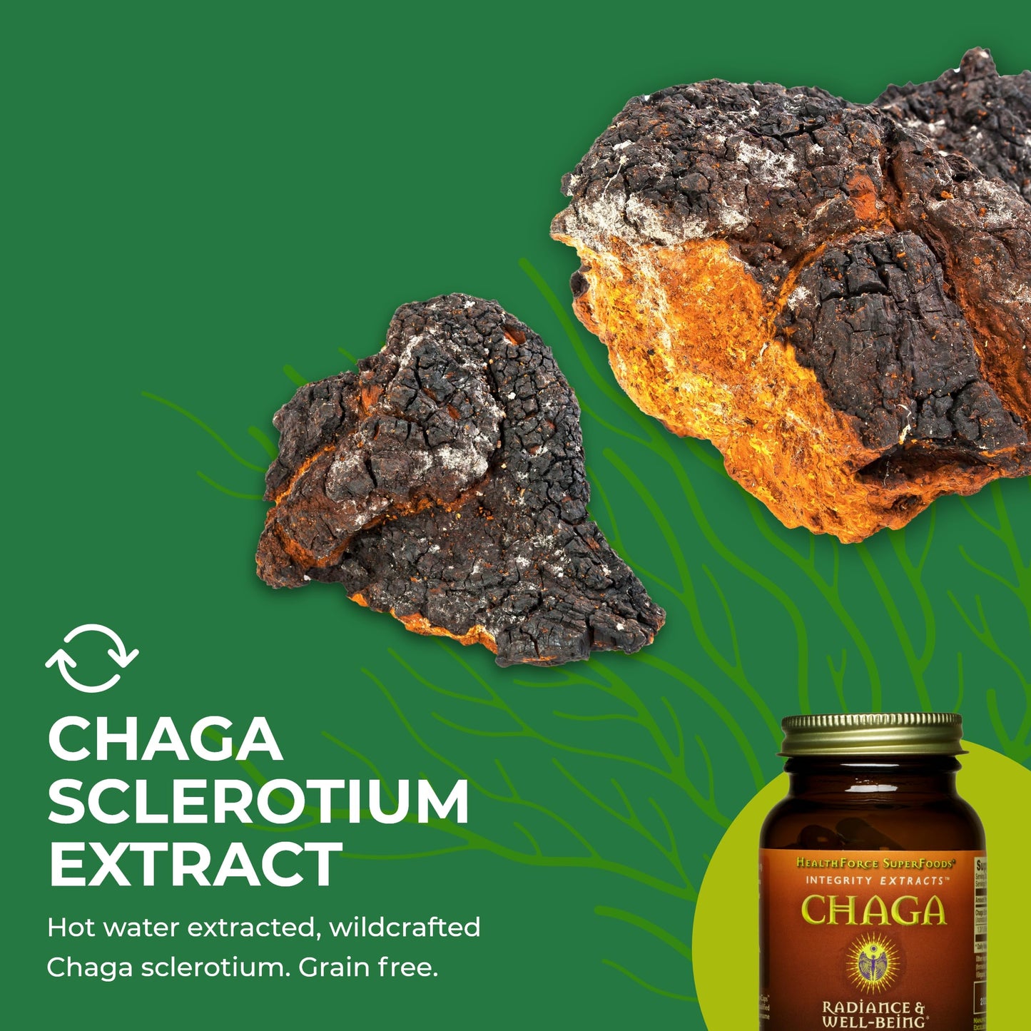 HEALTHFORCE SUPERFOODS Integrity Extracts Chaga Capsules 90 Count
