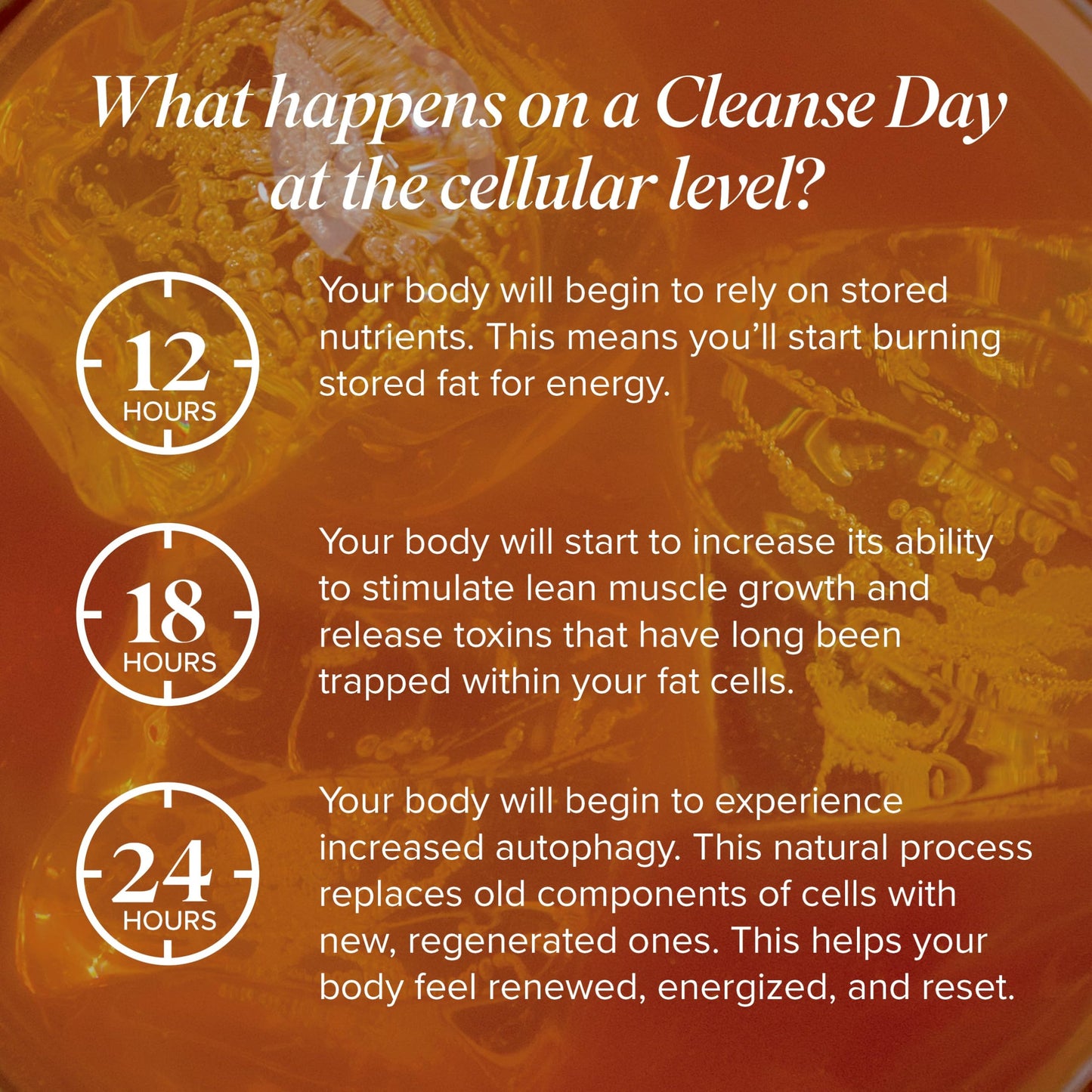 Isagenix Cleanse for Life Powder 3.4 oz