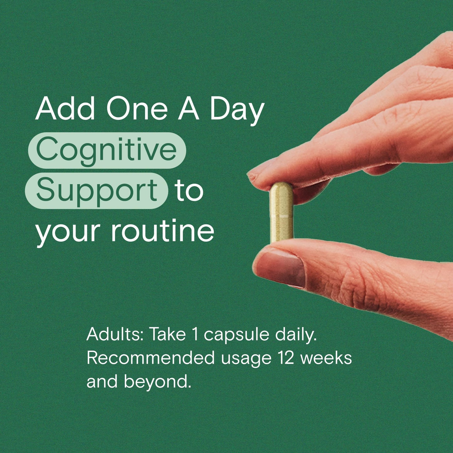 ONE A DAY Cognitive Supplement Capsules, 30 Count