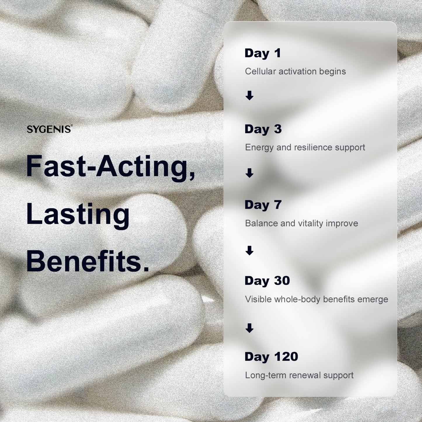 SYGENIS BioRenewal NAD Supplements 120 Capsules