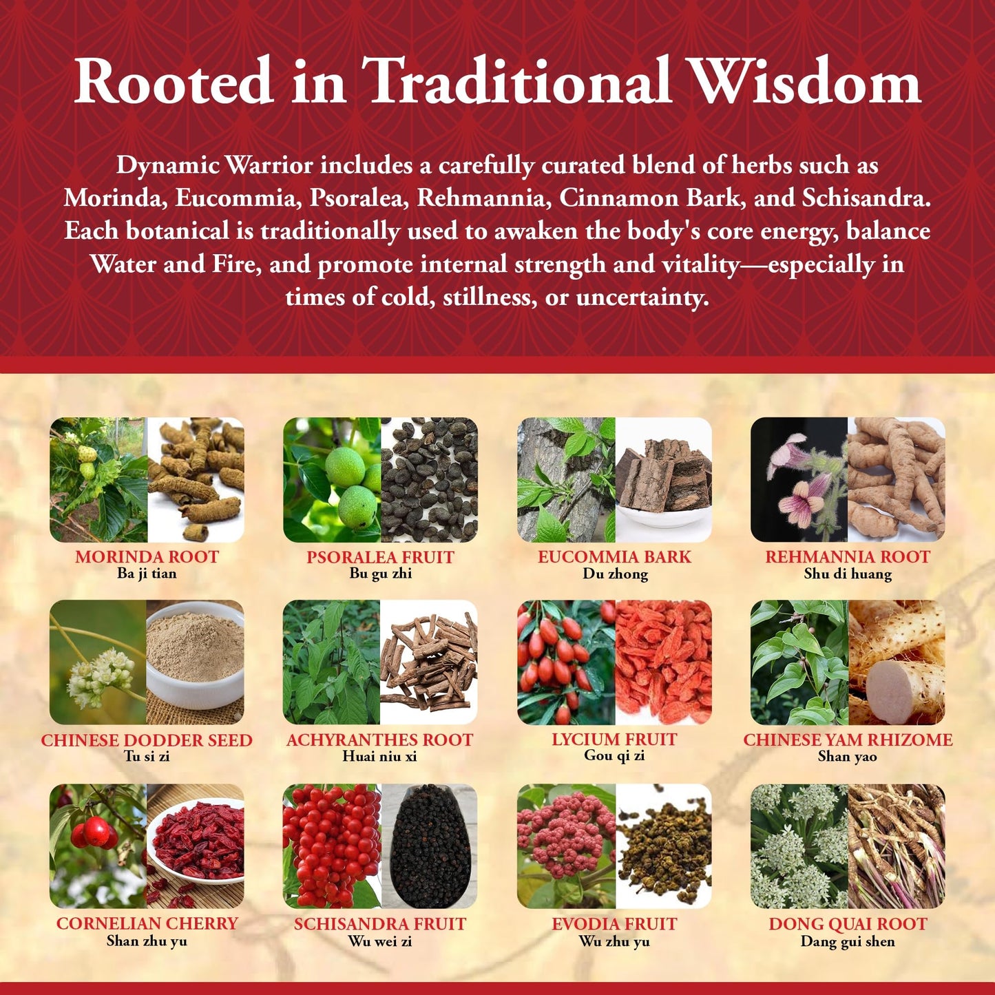 Kan Herbs Dynamic Warrior Tablet, 120