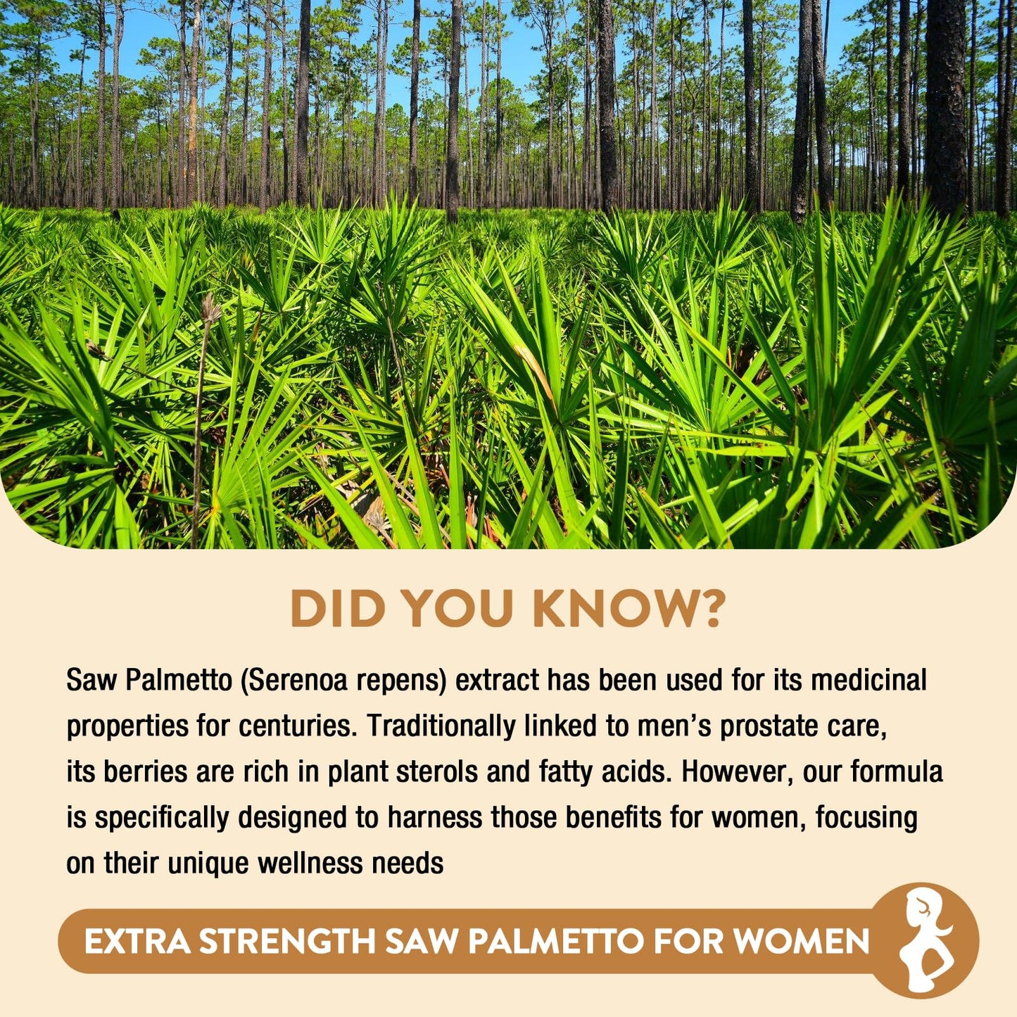 Gesundgeist Saw Palmetto for Women Hair Loss Capsule, 90 Capsules