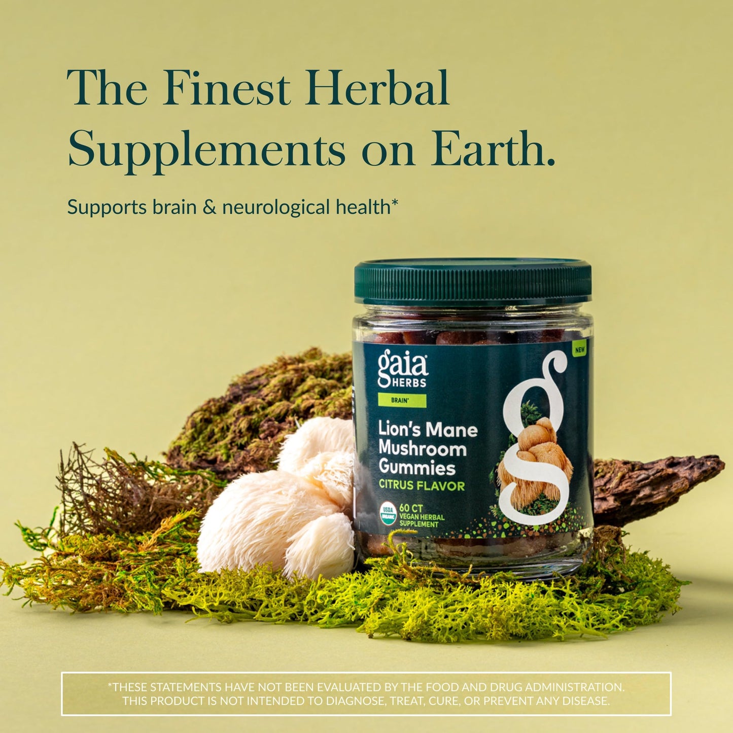 Gaia Herbs Lion's Mane Mushroom Gummies Brain Support, 60 Gummies