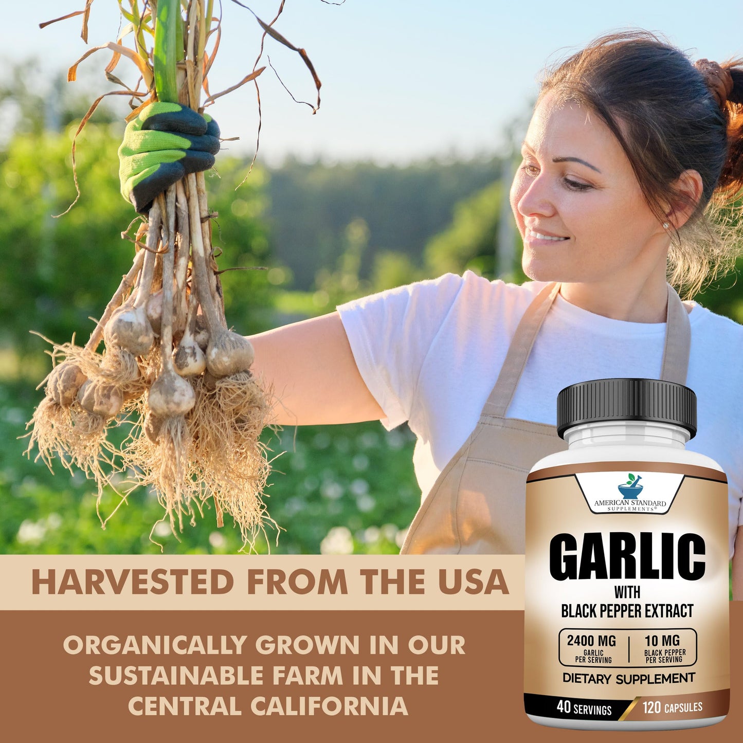 American Standard Supplements Garlic 2400mg Per Serving with Black Pepper Fruit Extract, 240 Capsules