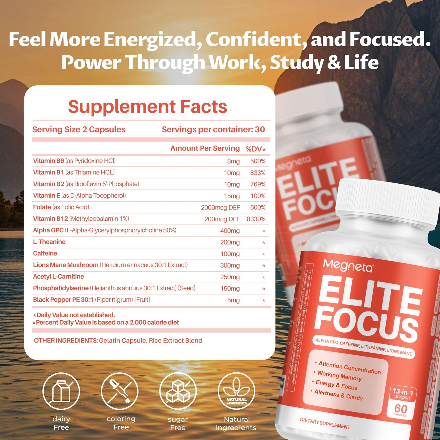 MEGNETA Elite Focus Premium Nootropic Supplement with Multi-Vitamin & L-Theanine for Cognitive Support Capsule, 120