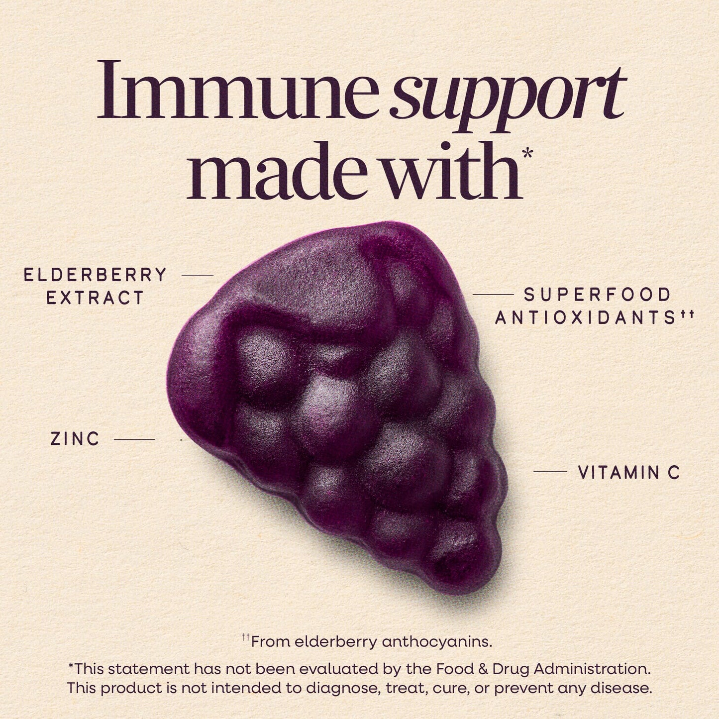 Nature's Way Sambucus Kids Elderberry Immune Gummies, 60 Gummies