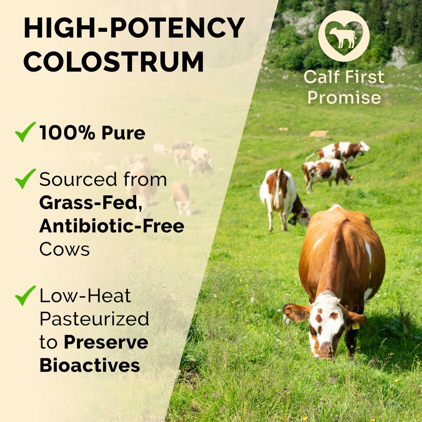 SCHIFFER HEALTH Colostrum Powder 3.17 oz
