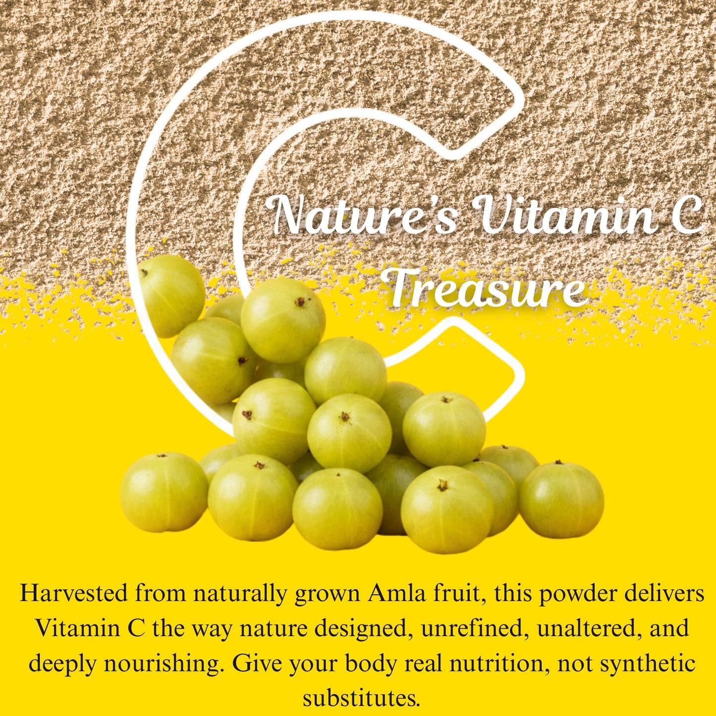 BASIC AYURVEDA Amla Powder, 7.05 oz