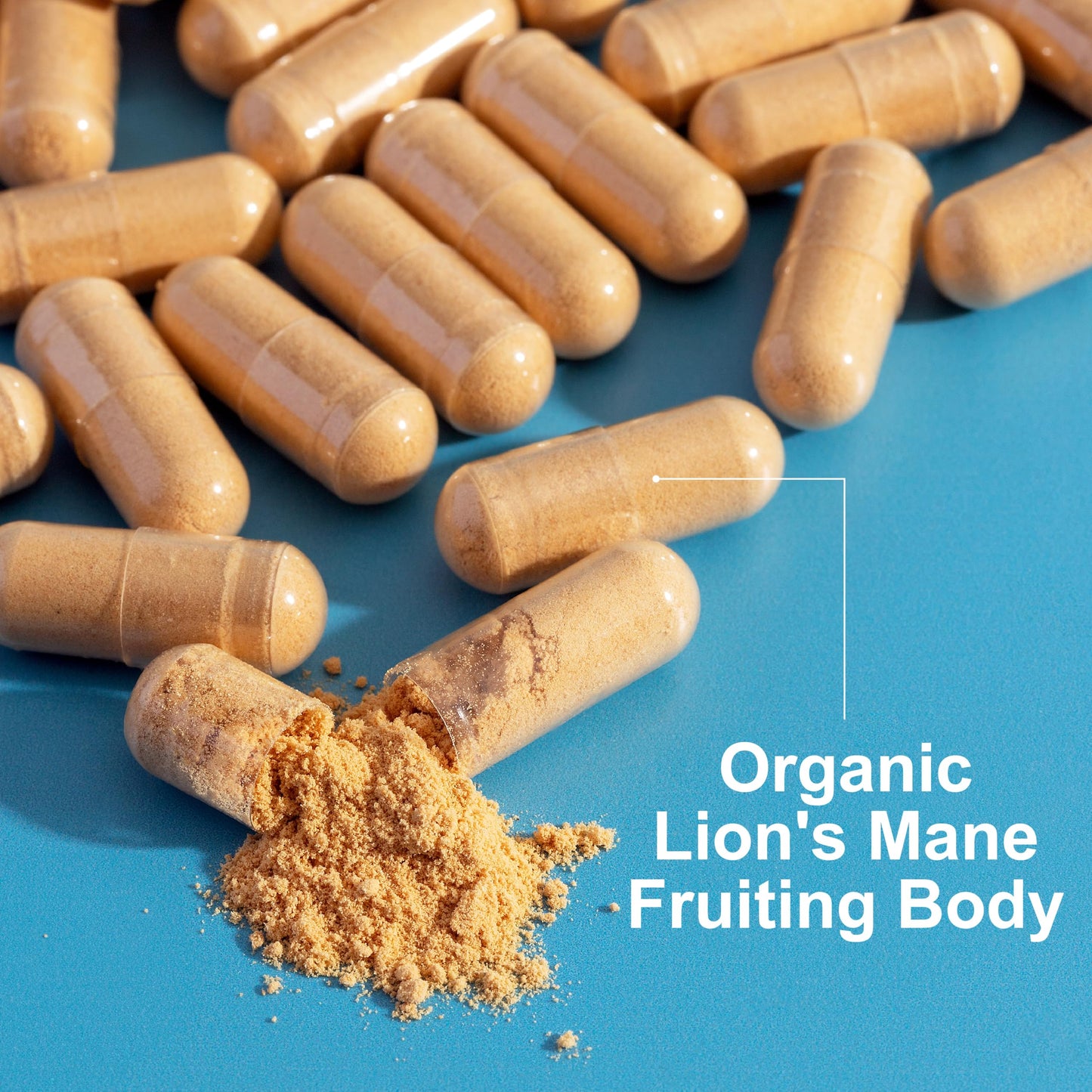 Carlson Lion's Mane Organic Mushroom Cognitive Function Mood Health Digestive Support Non-GMO, 60 Vegetarian Capsules