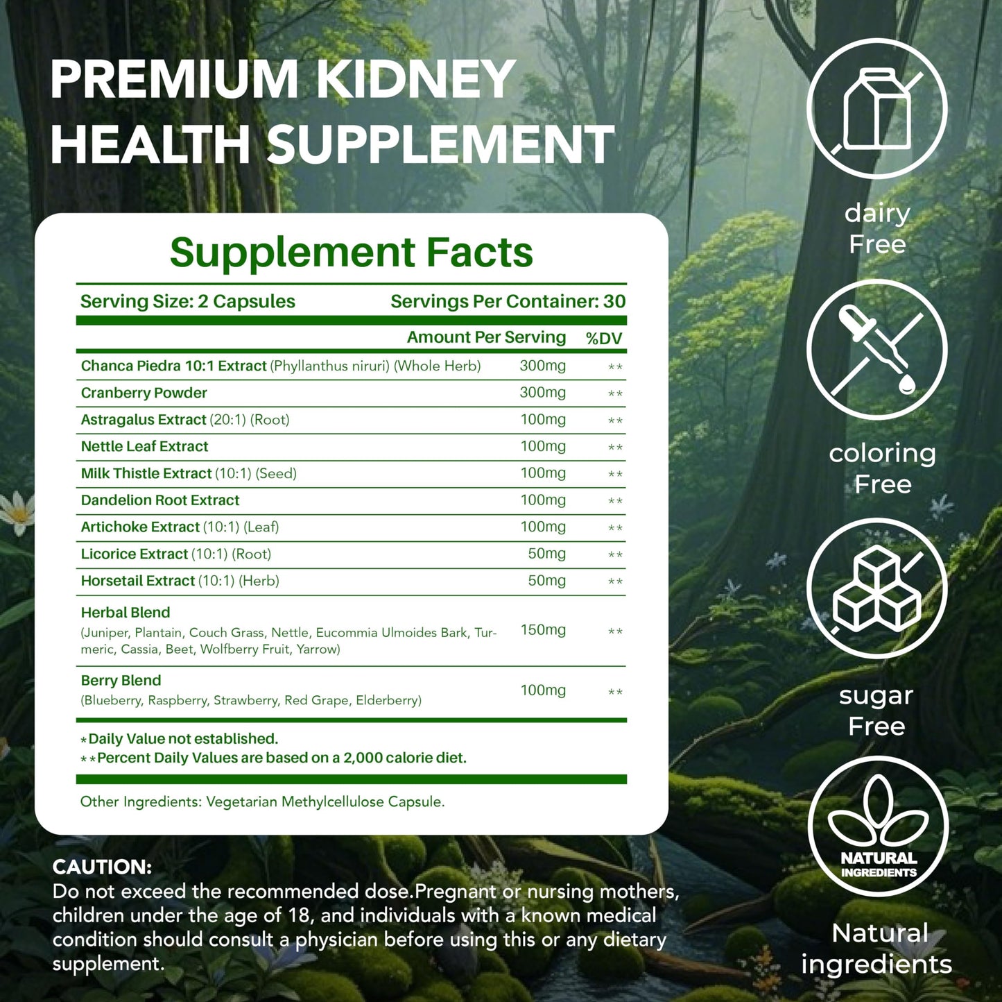 MEGNETA Kidney and Bladder Support Supplement with Cranberry, Astragalus, Nettle Leaf, Artichoke, Capsules, 120 Count