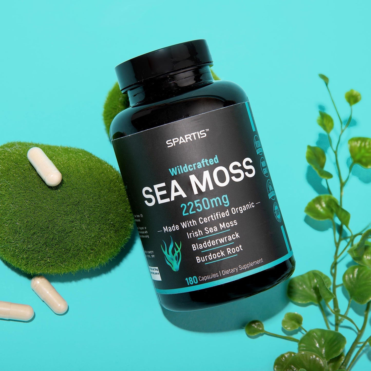 SPARTIS Certified Organic Sea Moss Capsules 2250mg Wildcrafted Irish Sea Moss with Burdock Root and Bladderwrack, 180 Capsules