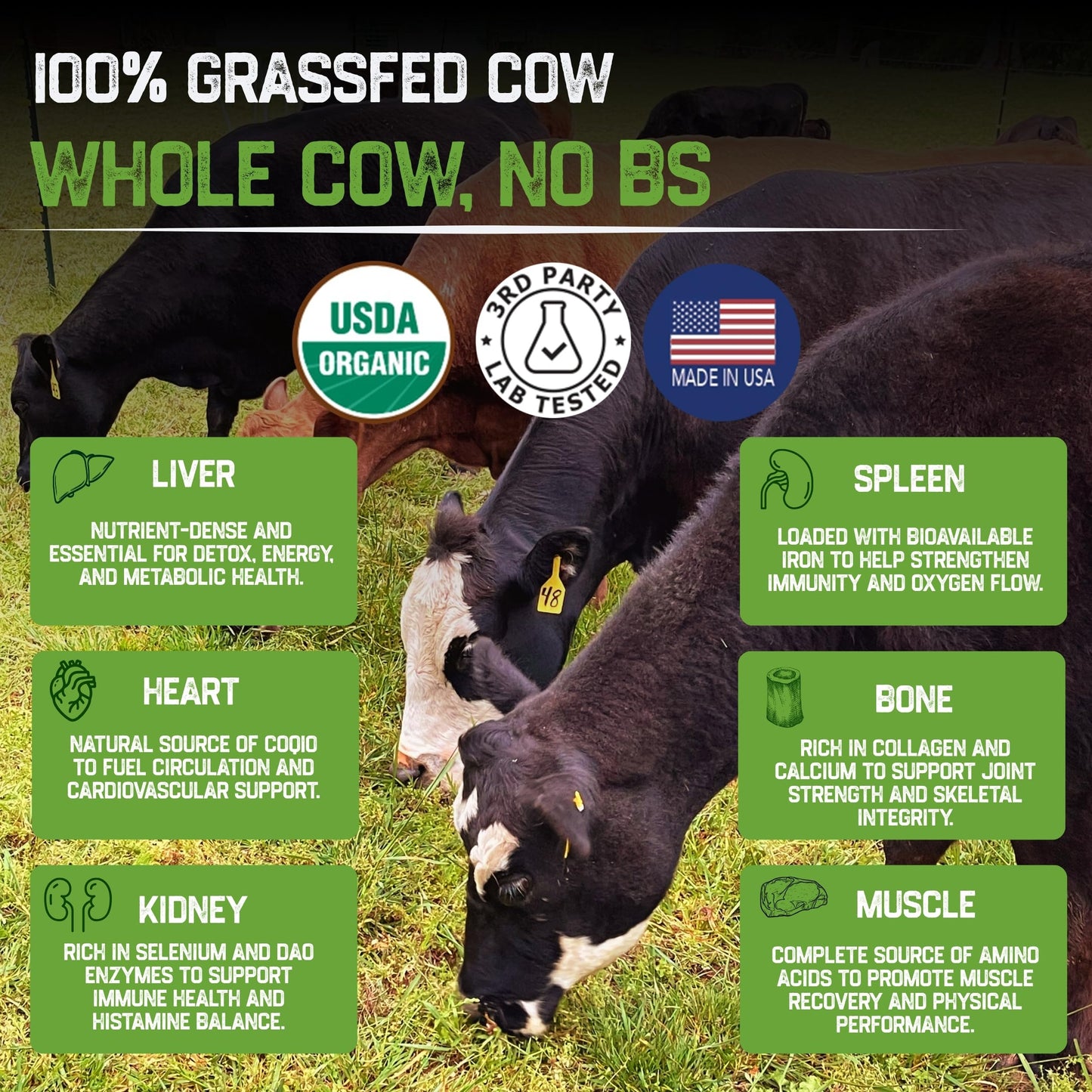 Grassfat Grassfed Beef Organ Supplements Capsules 20 Count