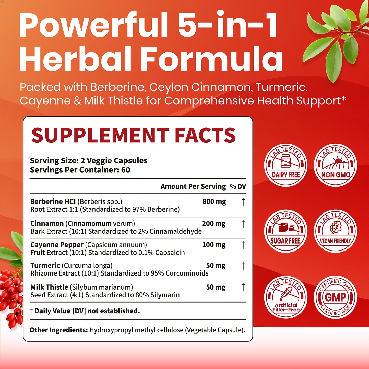 VEV Berberine Supplement Capsule, 120 Capsules