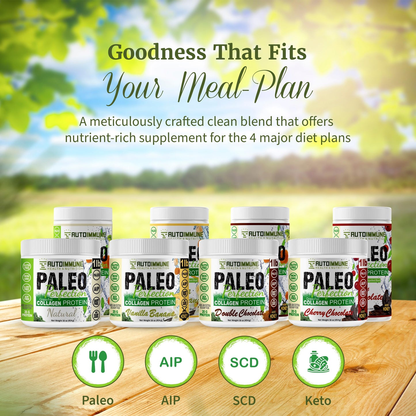 Autoimmune Health & Nutrition Paleo Perfection Vanilla Banana Grass Fed Beef Collagen Protein Powder with Stevia, 10.5 Ounce