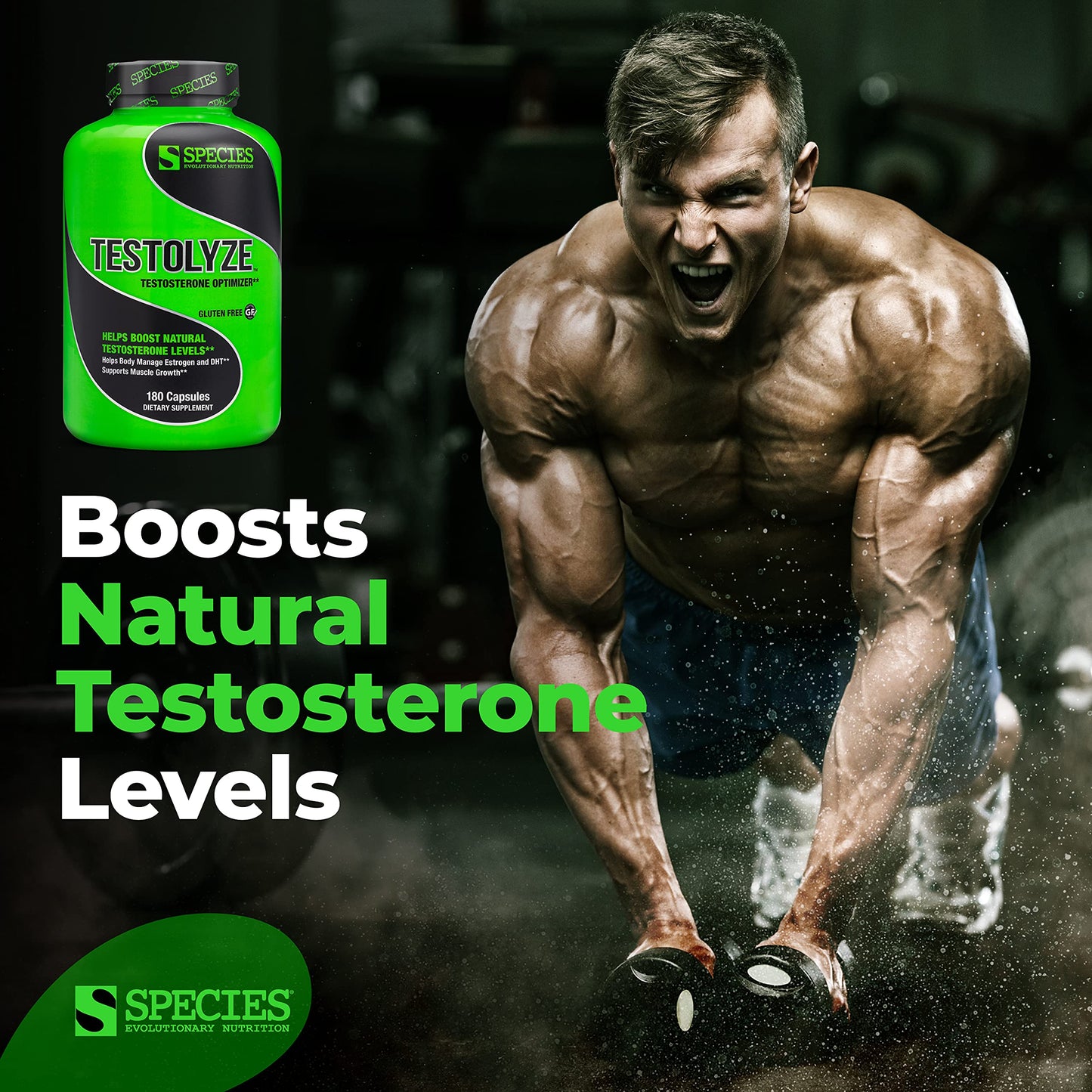 Species Nutrition Testolyze Natural Testosterone Booster Capsule 180 Count