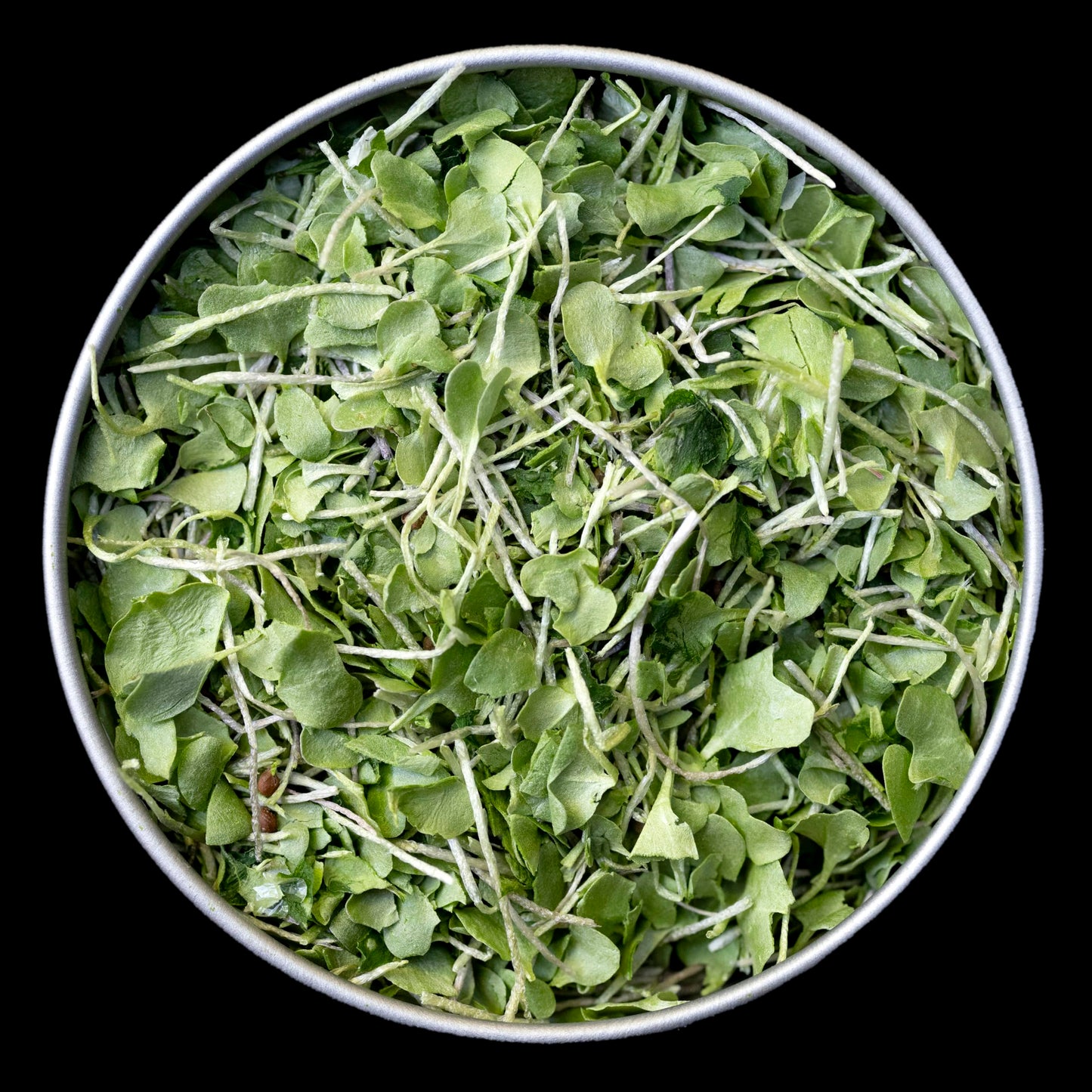BeMicro Whole Food Microgreens Powder 0.42 oz