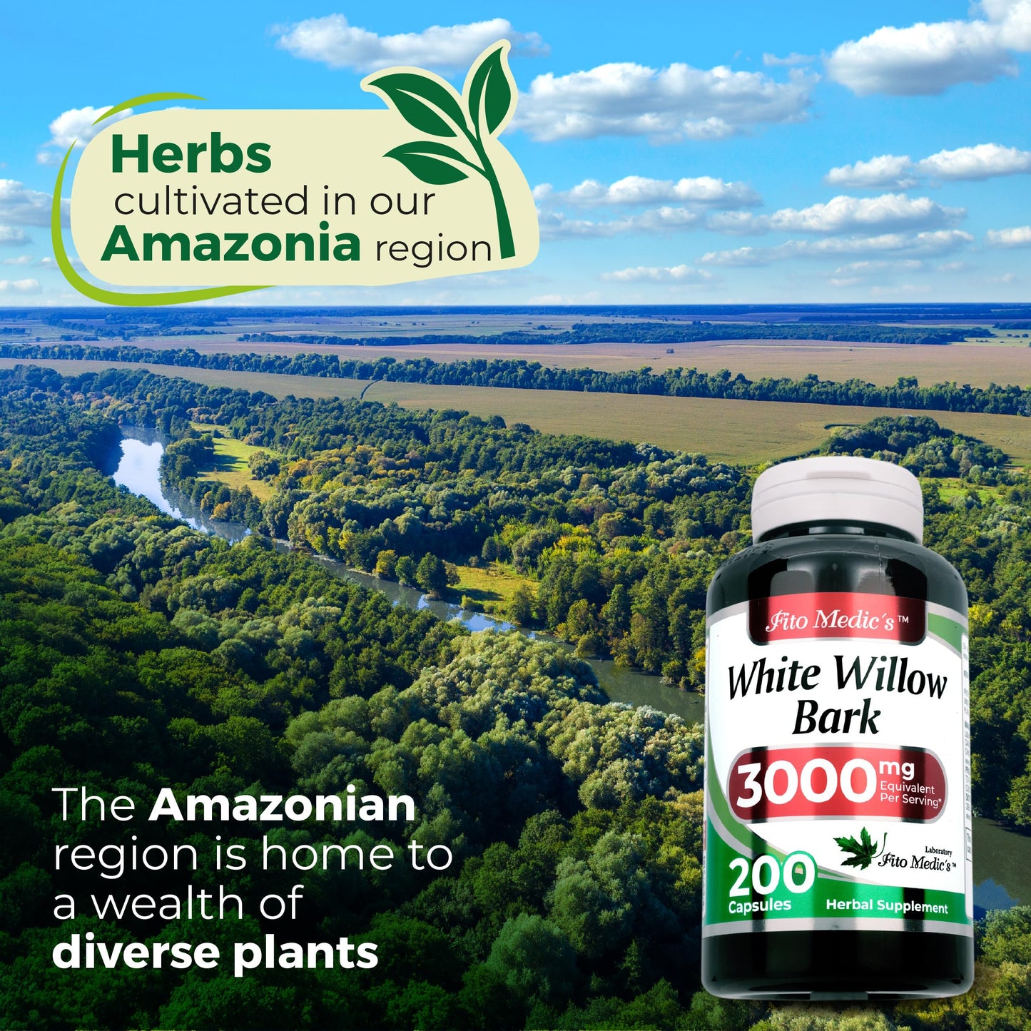 FITO MEDIC'S Lab White Willow Bark Supplement White Willow Extract Capsule 1