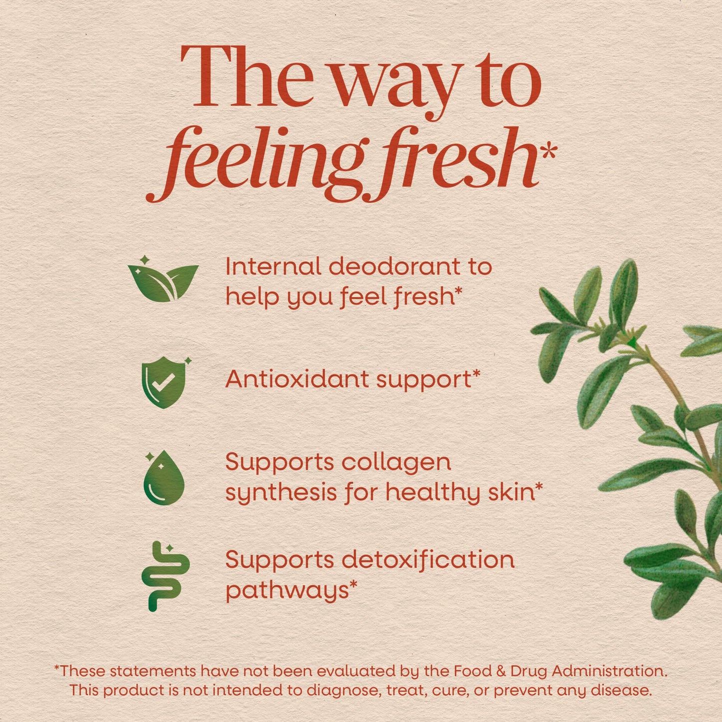Nature's Way Chlorofresh Chlorophyll Concentrate Softgel, 90 Softgels