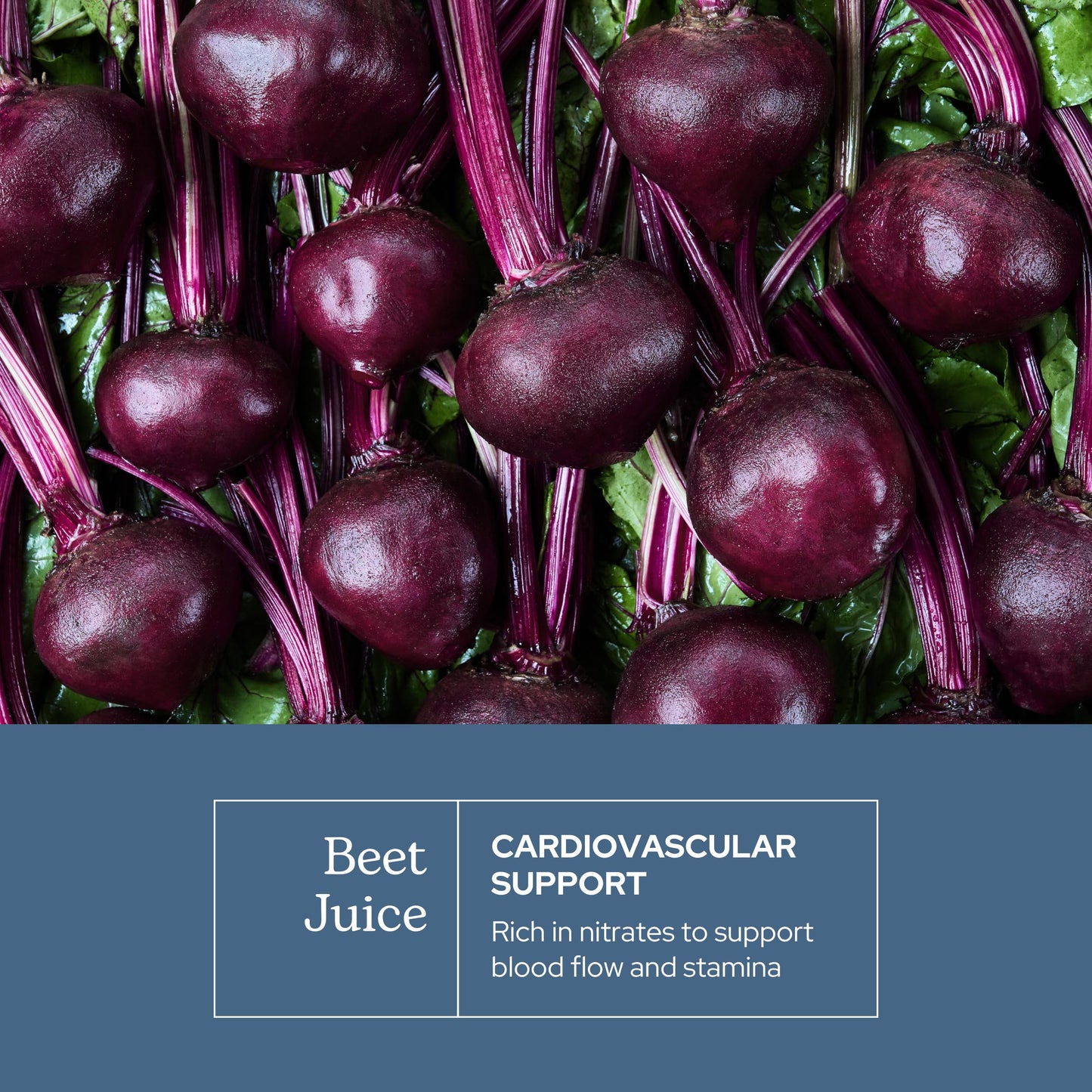 Eclectic Institute Organic Beet Juice Capsule 50 Count