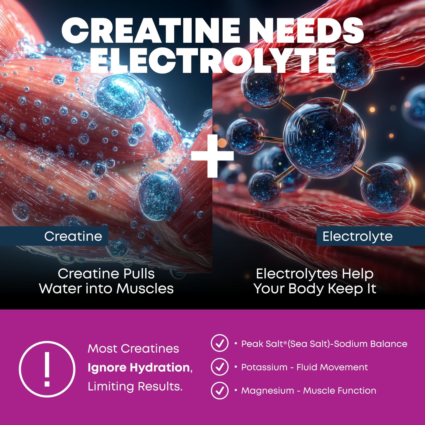 Peak Revival-X Creatine Monohydrate Powder + Electrolyte Hydration Salt Powder, Grape, 5000mg (5g) Per Serving, 30 Servings