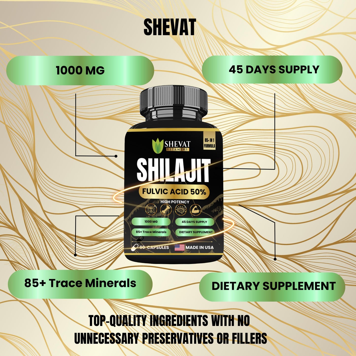 Shevat Vitamins Shilajit Capsules 90 Capsules