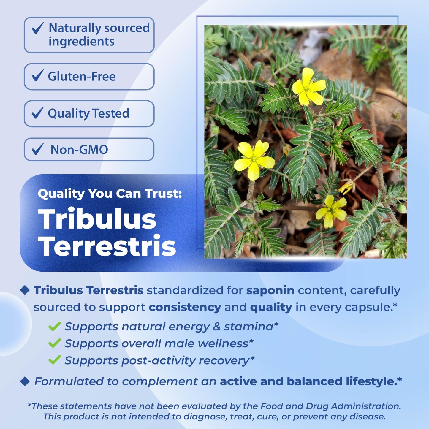 SOTALIX SUPPLEMENT Tribulus Terrestris with Maca Root, Tongkat Ali & Ginseng Capsule, 90 Count