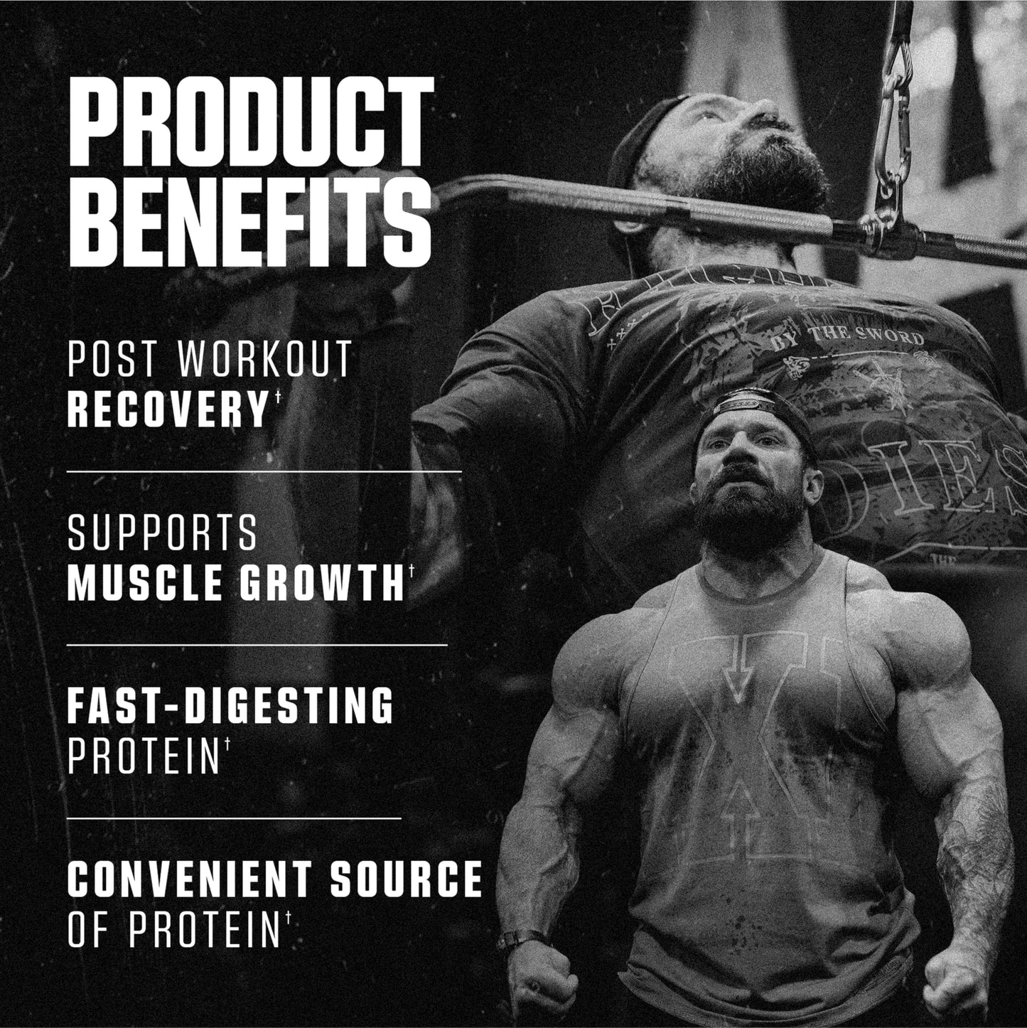 Axe & Sledge Farm Fed 100% Whey Protein Isolate Powder, Brown Sugar Cinnamon, 7.05 oz