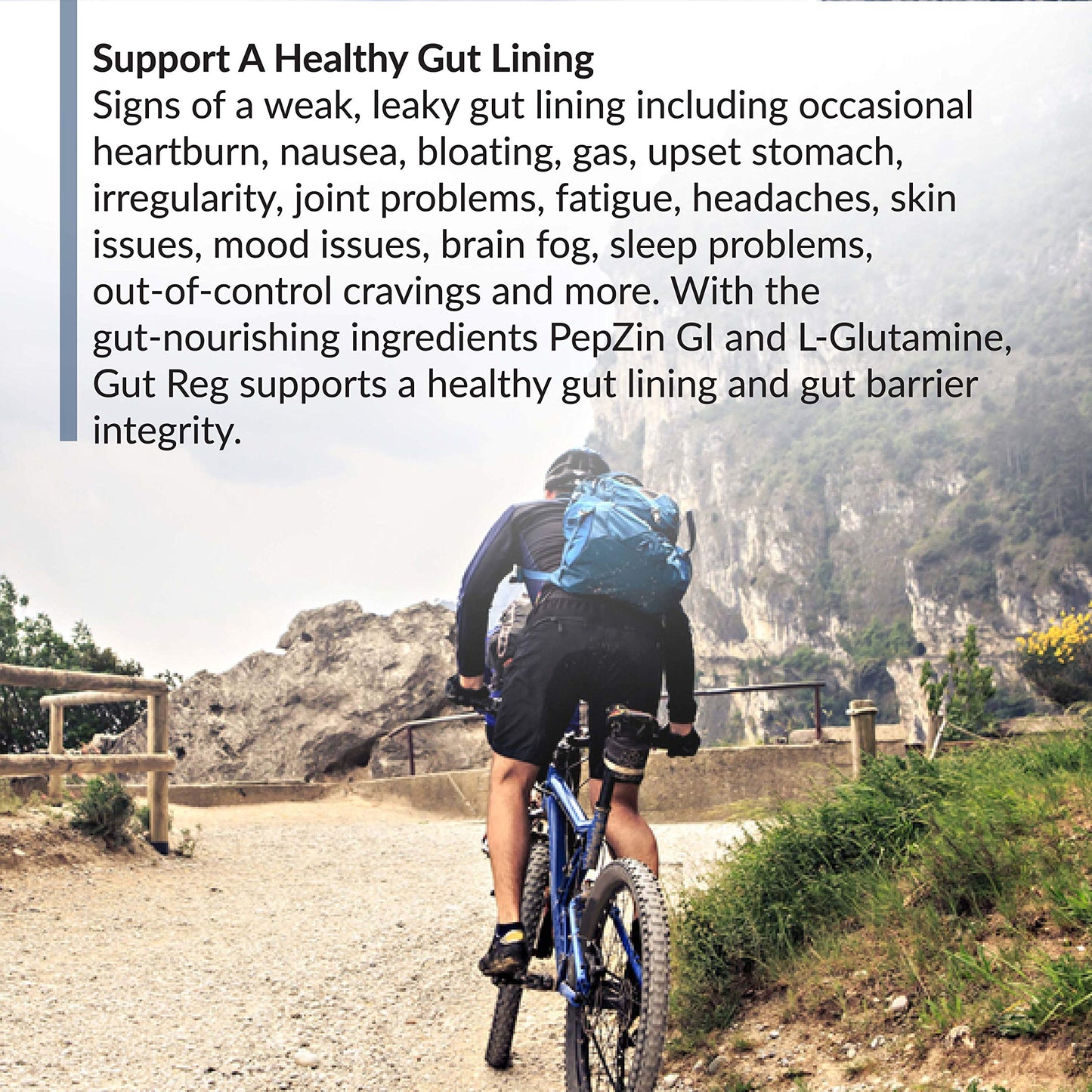 BioTrust Gut Reg Capsule, 60 Capsules