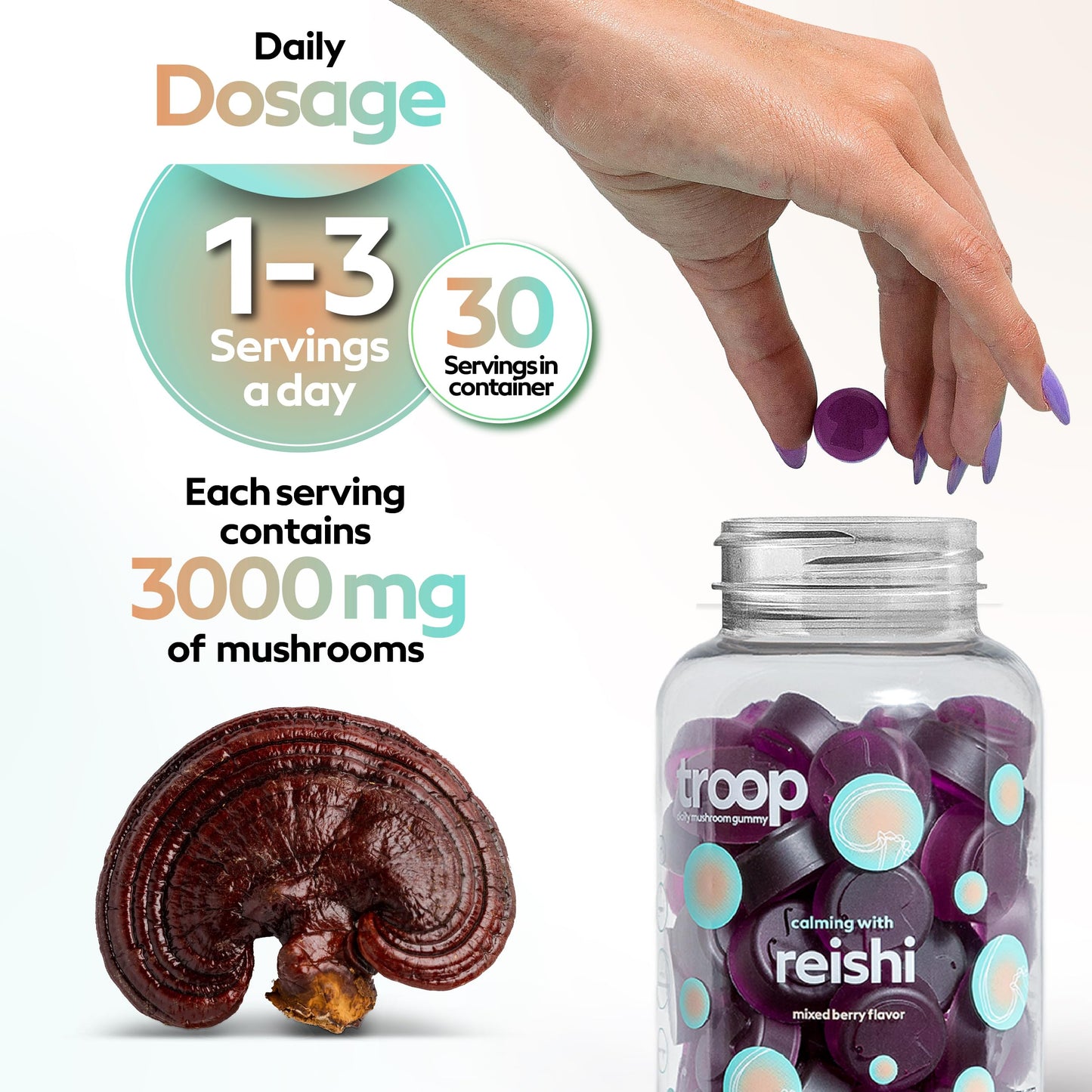 Troop Reishi Mushroom Gummies 60 Count