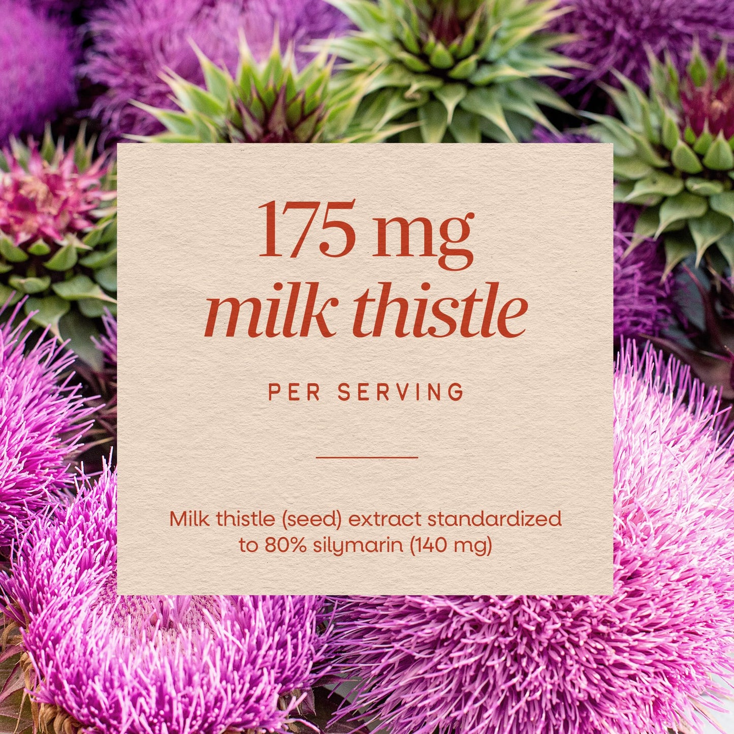 Nature's Way Thisilyn Milk Thistle Extract Capsule, 100 Count