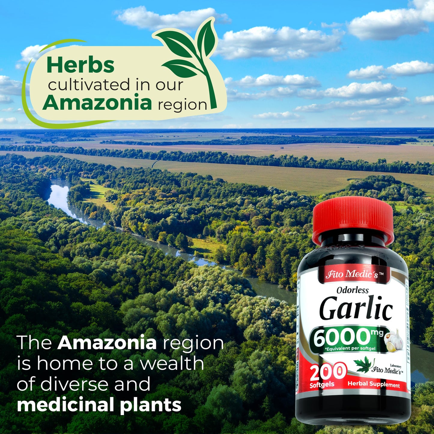 FITO MEDIC'S Garlic Pills Softgels 200 Count